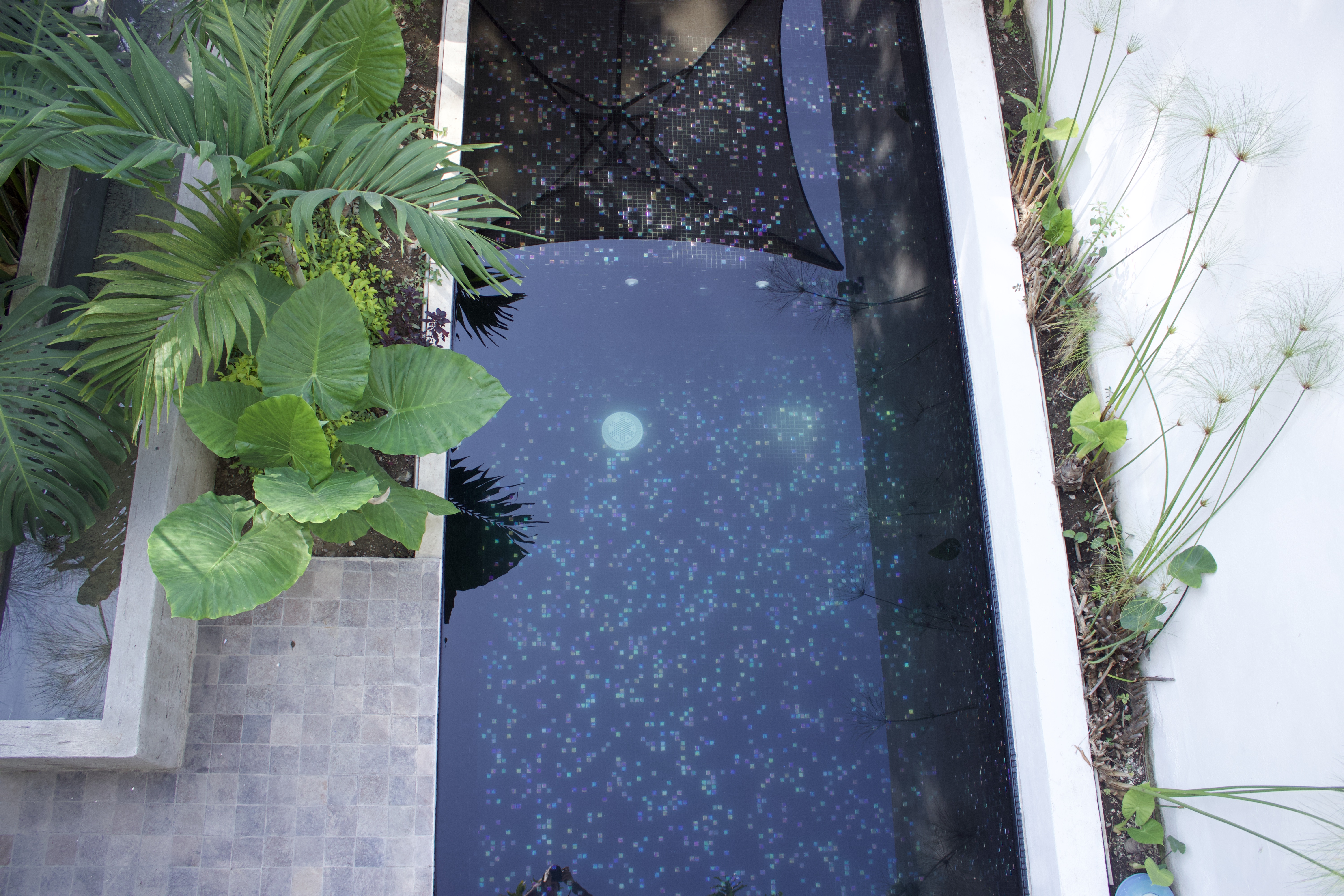 Casa Eladia — pool