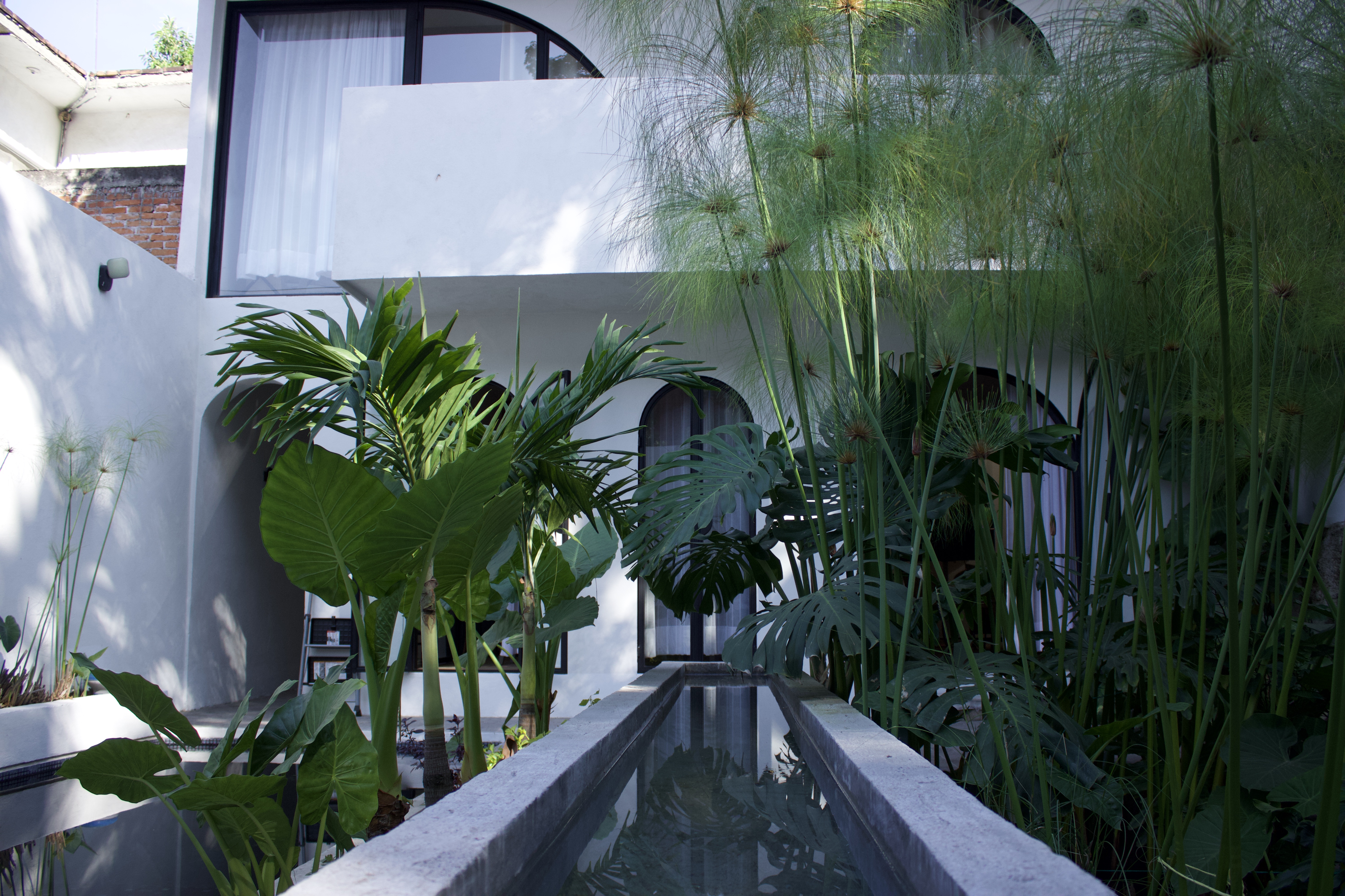 Casa Eladia — pool