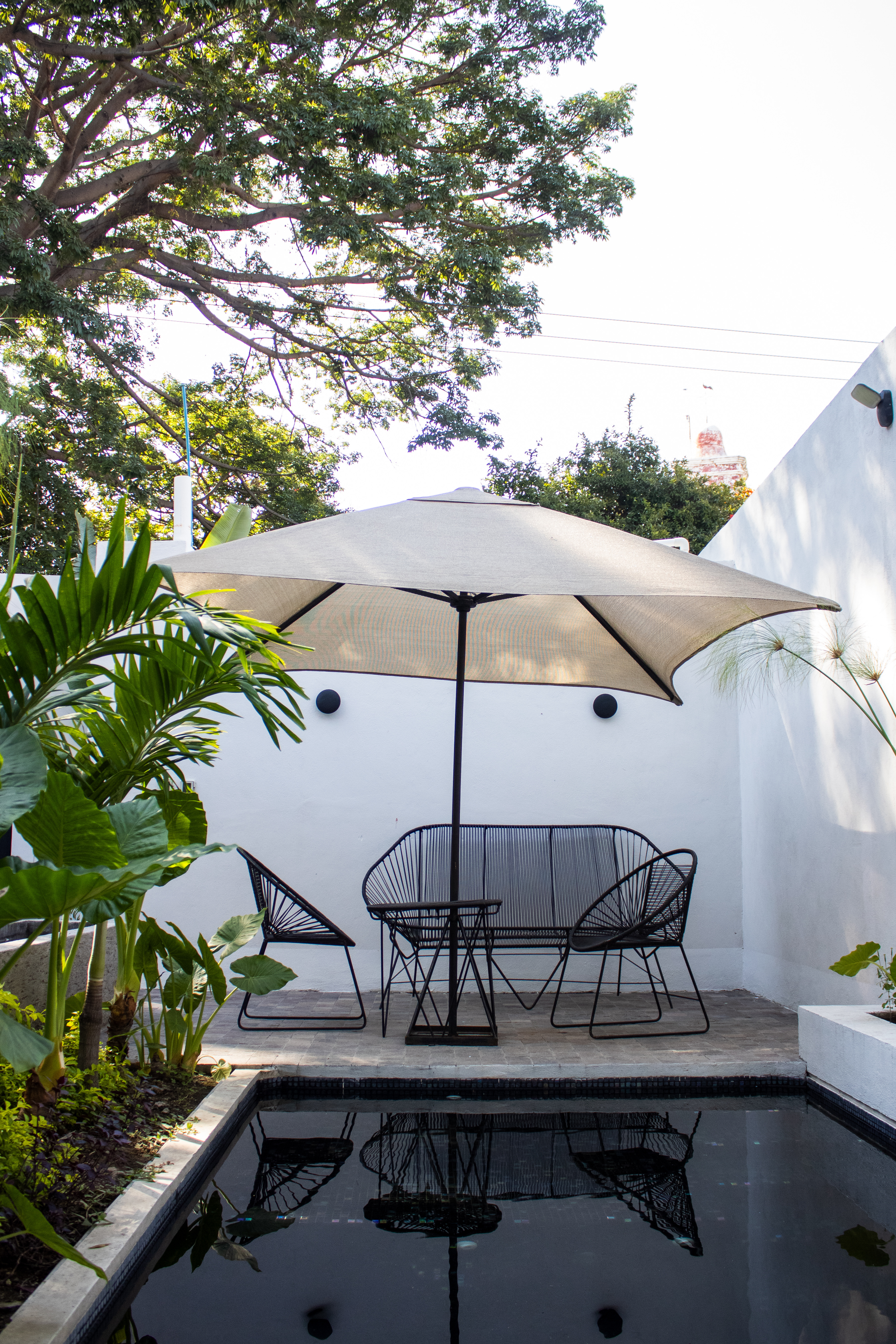 Casa Eladia — pool